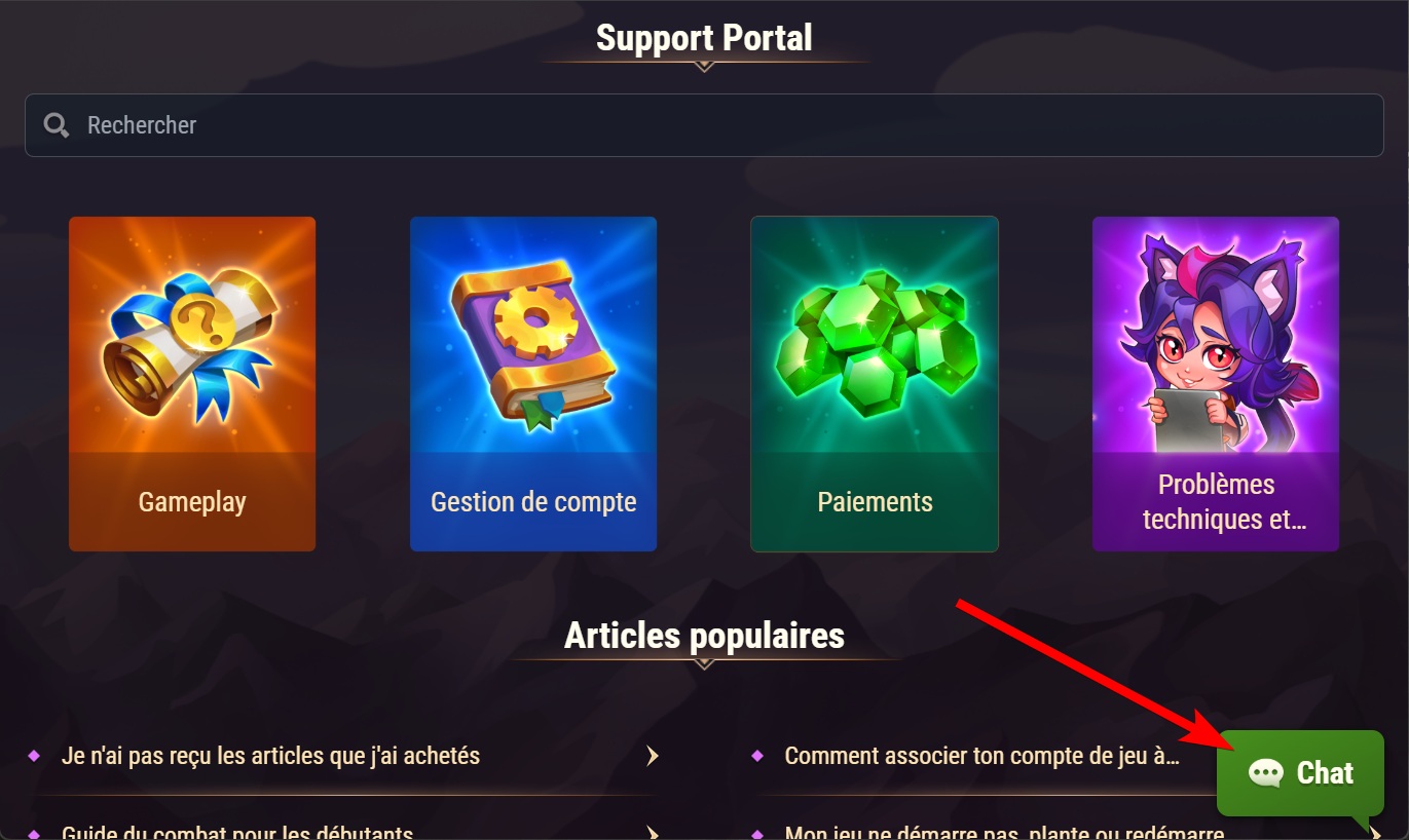support chat fr.jpg