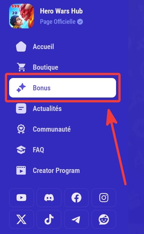webshop_bonuses_tab2_fr.jpg