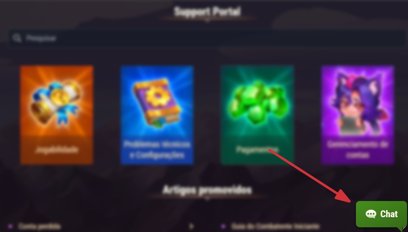 support chat pt.jpg