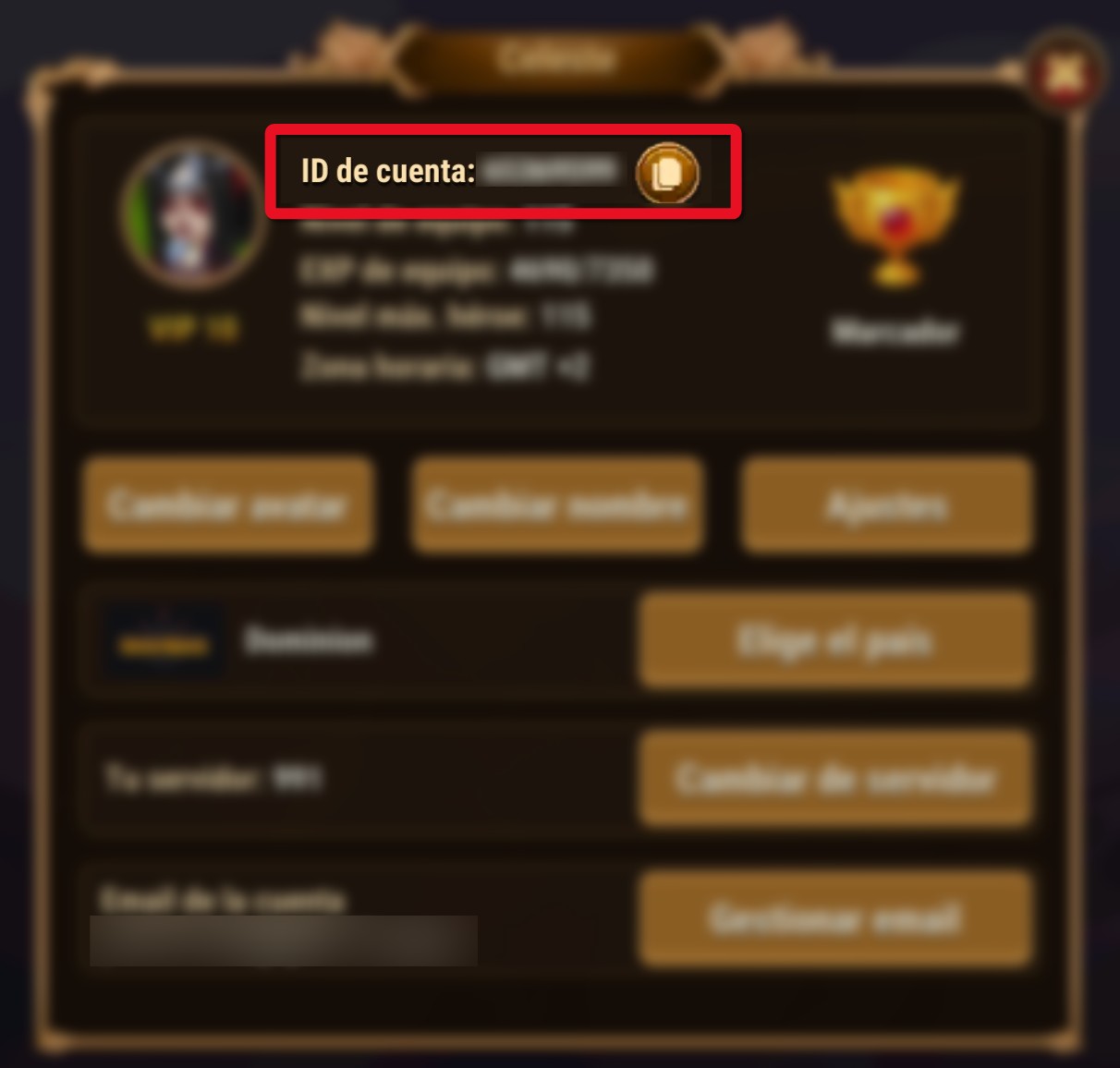 account_id_es.jpg