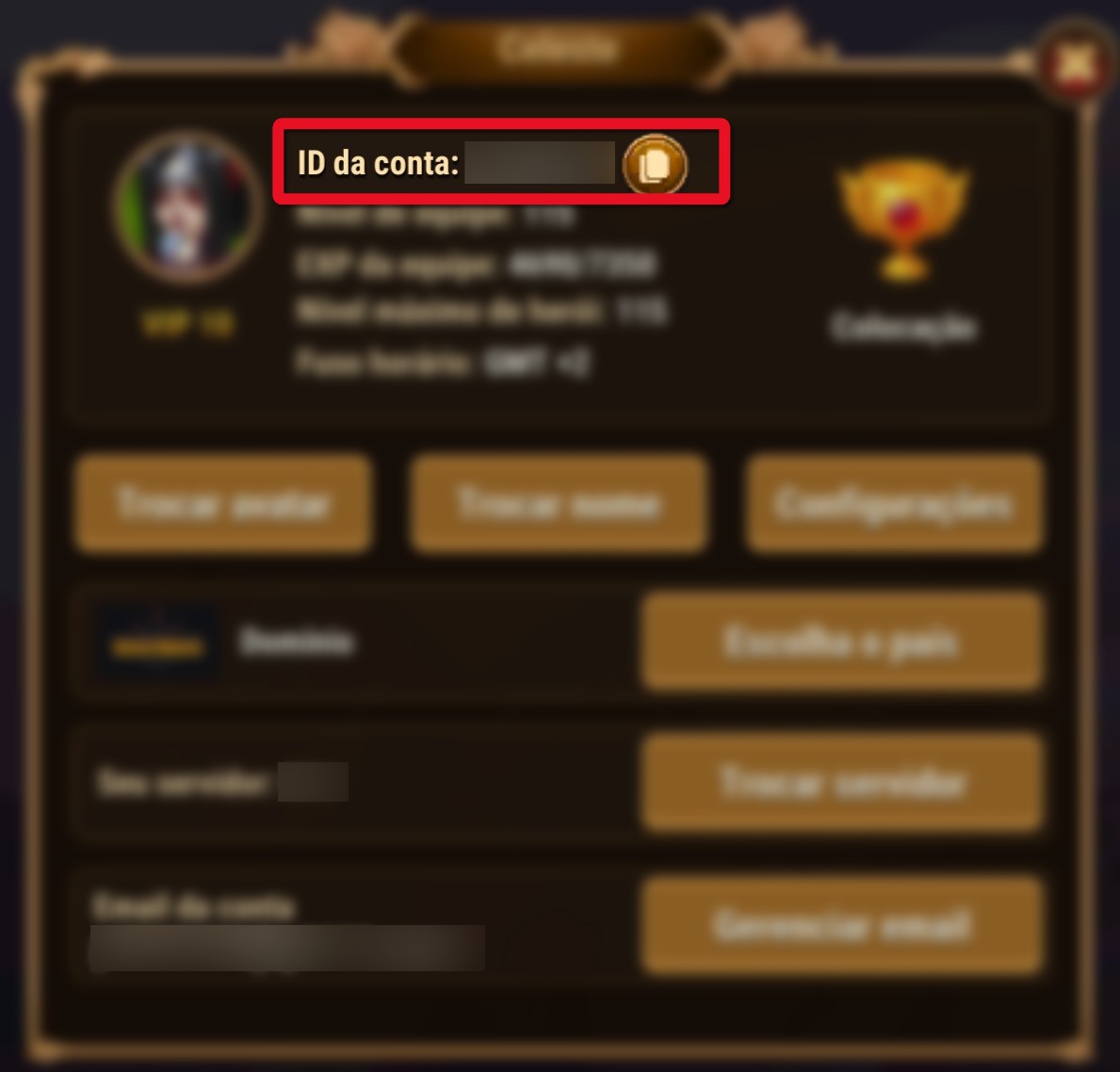 account_id_pt.jpg