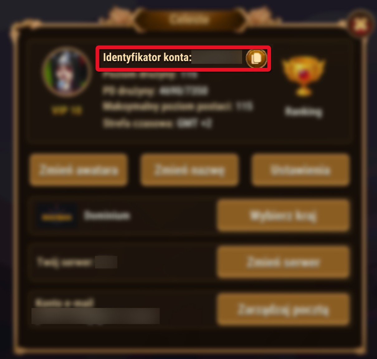 account_id_pl.jpg