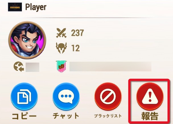 report_player_ja.jpg